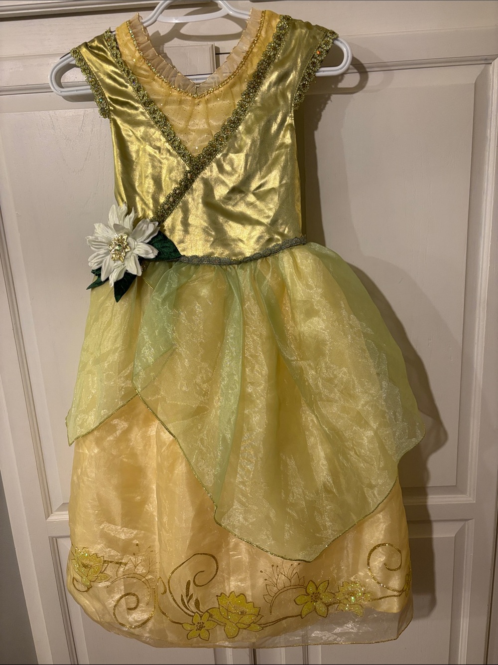Disney Store Tiana Princess and the Frog Costume Dress sz 5/6